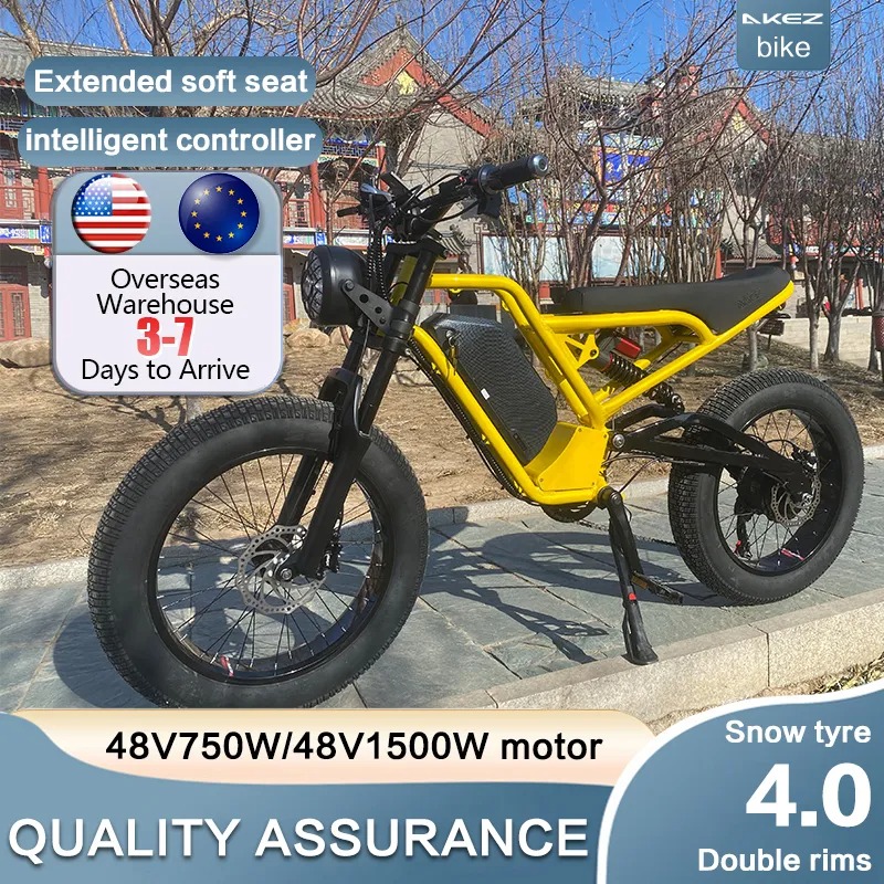 48V 750W 1500W AKEZ Aluminum Frame Electric Bicycle Retro Motorcycle E Bike Hydraulic Brake High Performance Electric Motorcycle