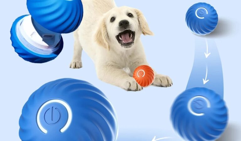 The Smart Dog Toy Ball for Endless Fun!