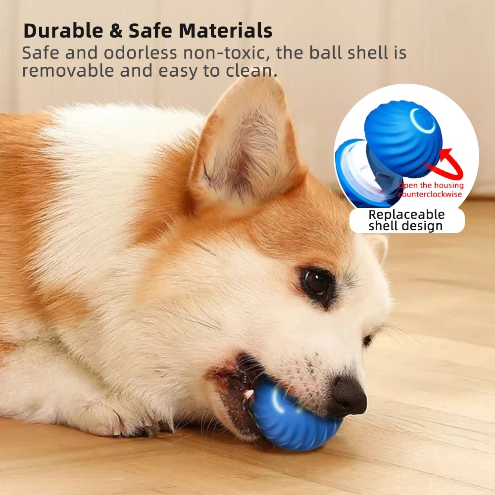 The Smart Dog Toy Ball